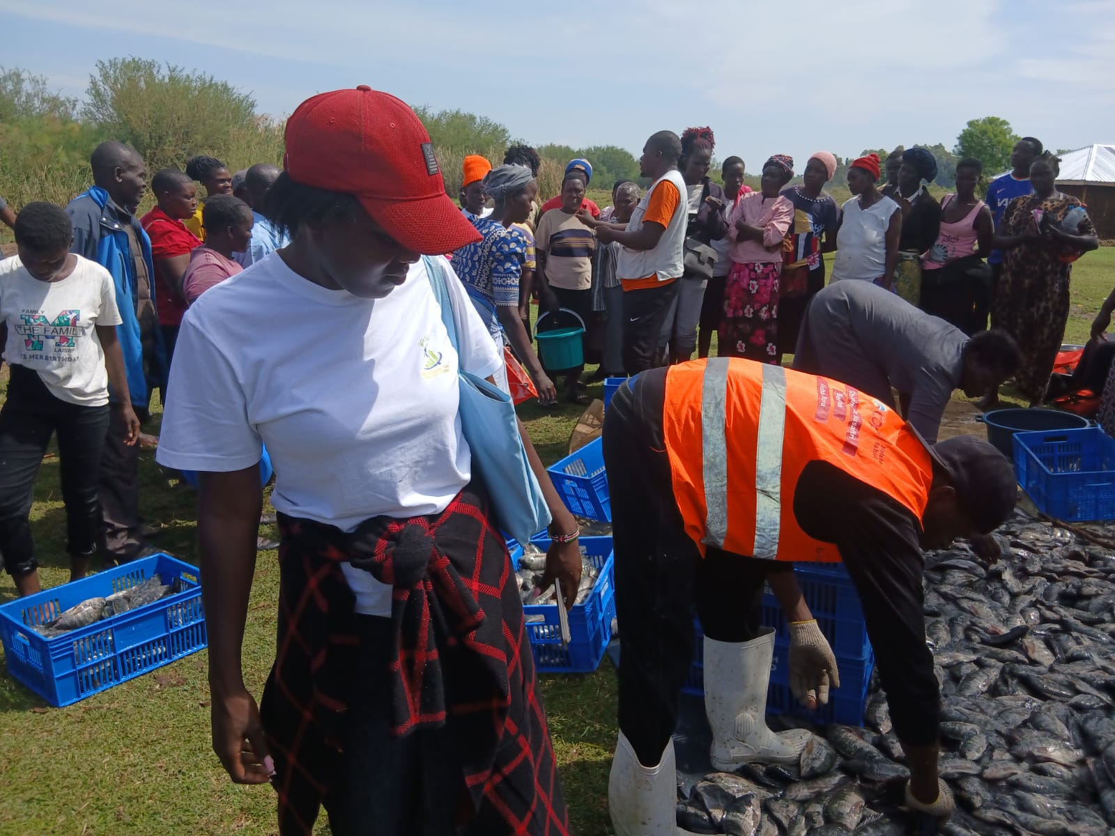 Sustainable Livelihoods